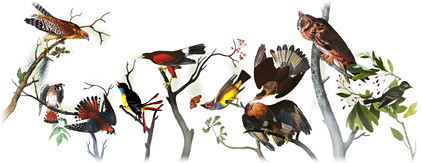 John James Audubon's Birthday ··226